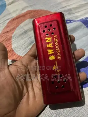 මවුත් ඕගන්