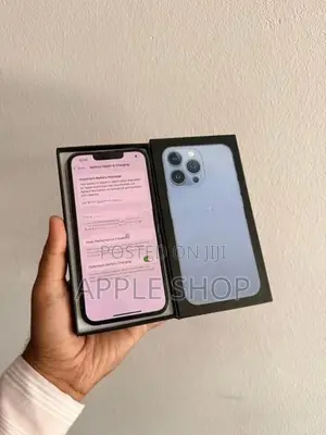 Apple iPhone 13 Pro 256GB (Used)