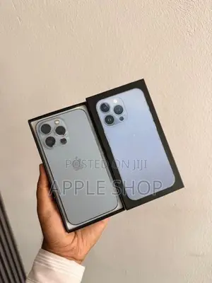 Apple iPhone 13 Pro 256GB (Used)
