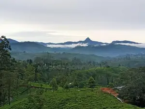Land for sale in Nuwara Eliya Hatton