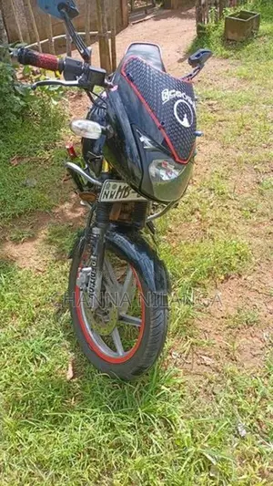 Bajaj Pulsar 150 2005