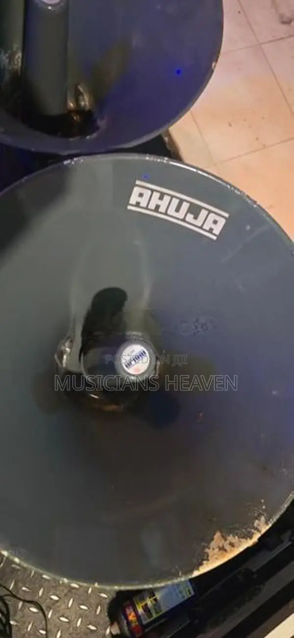Ahuja Loudspeaker