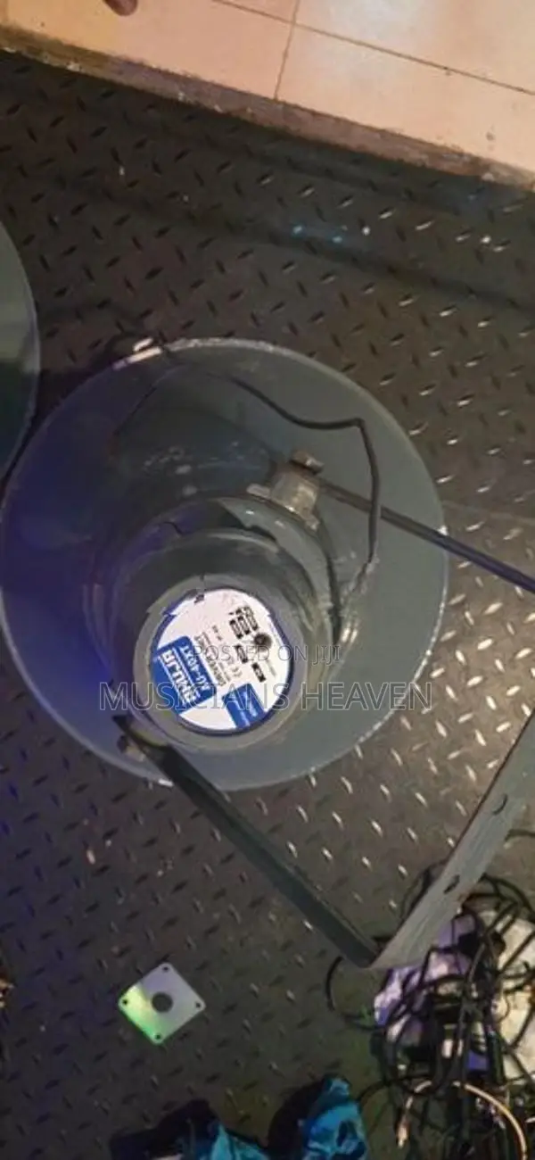 Ahuja Loudspeaker
