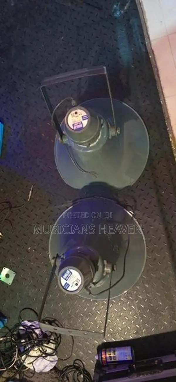 Ahuja Loudspeaker