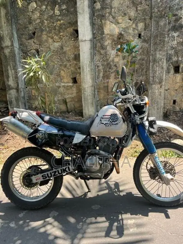 Suzuki Djebel XC250 2014