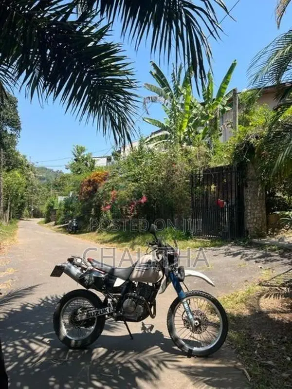 Suzuki Djebel XC250 2014