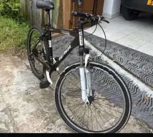 Japan Bicycle