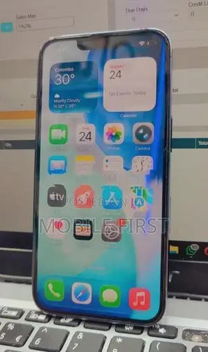 Apple iPhone 13 Pro 256GB (Used)