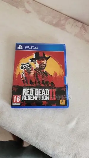 Red Dead Redemption 2 PS4 Game