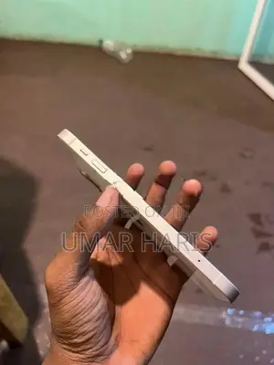 Apple iPhone 12 (Used)