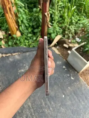 Apple iPhone 16 Pro Max (Used)