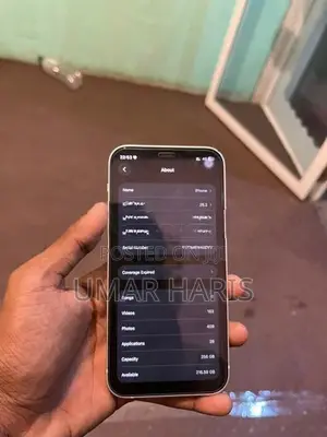 Apple iPhone 12 (Used)