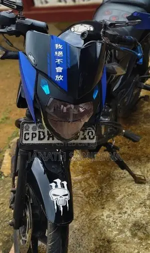 Bajaj Pulsar 135 2013