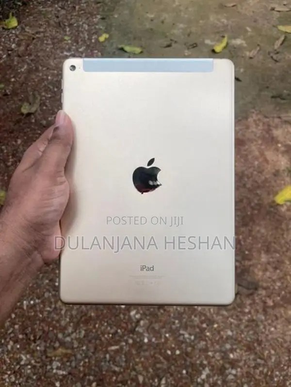 Apple iPad Air 2