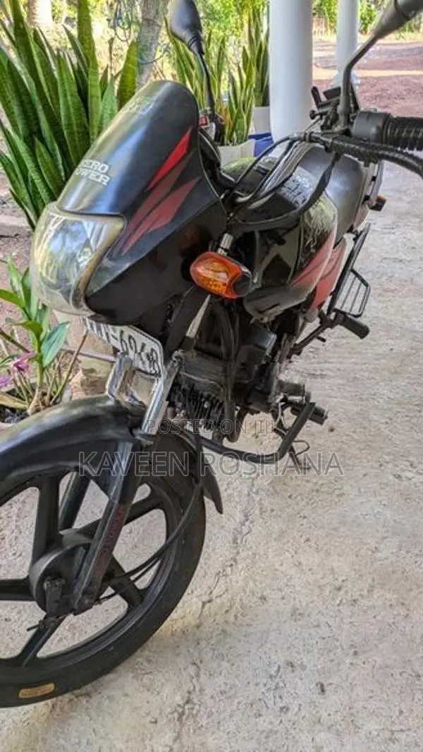 Hero Passion pro 2010
