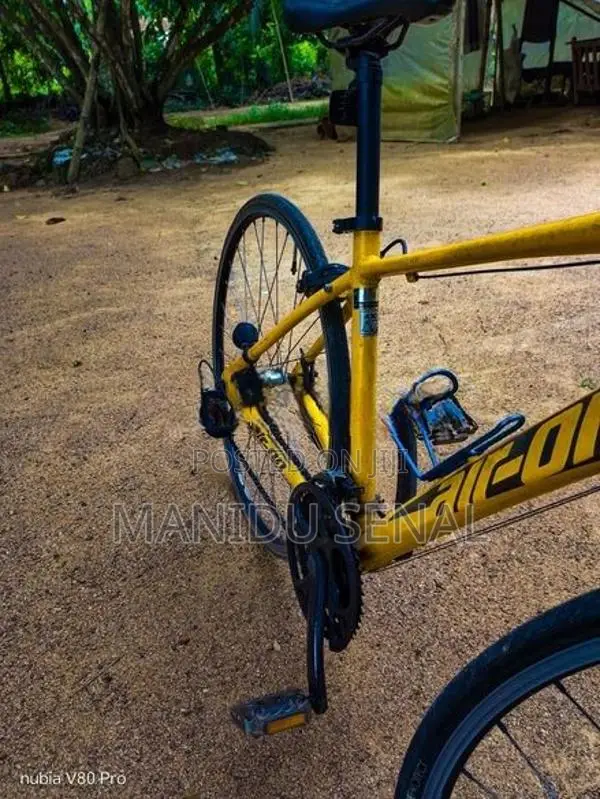 Bicycle