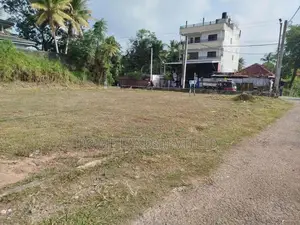 පිලියන්දල මඩපාත බිම් කොටස් විකිණීමට