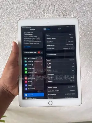 Apple iPad Air 2