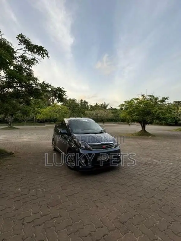Perodua Viva Elite 2011
