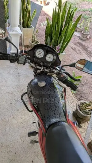 Hero Passion pro 2010
