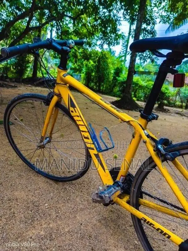Bicycle
