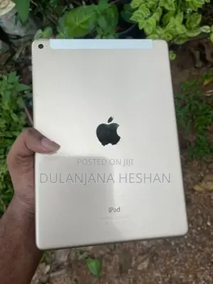 Apple iPad Air 2