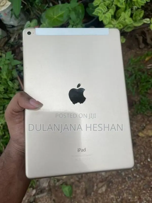 Apple iPad Air 2
