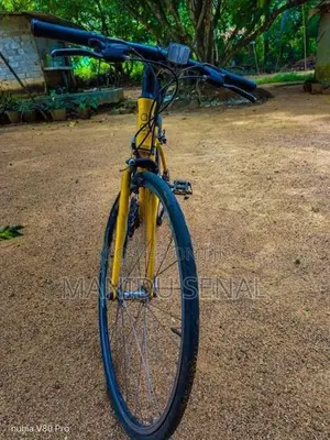 Bicycle
