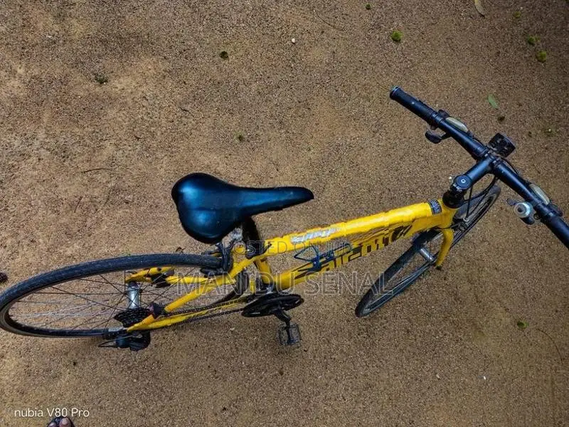 Bicycle