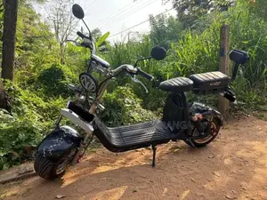 Electric Bike 2023