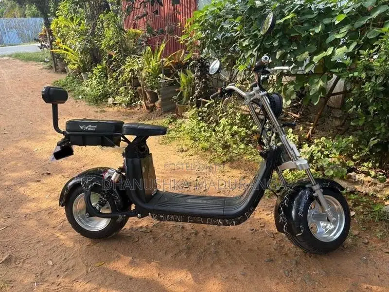 Electric Bike 2023