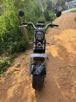 Electric Bike 2023