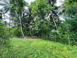 Land for Sale in Polgahawela