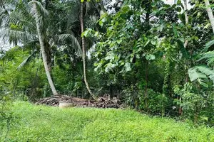 Land for Sale in Polgahawela