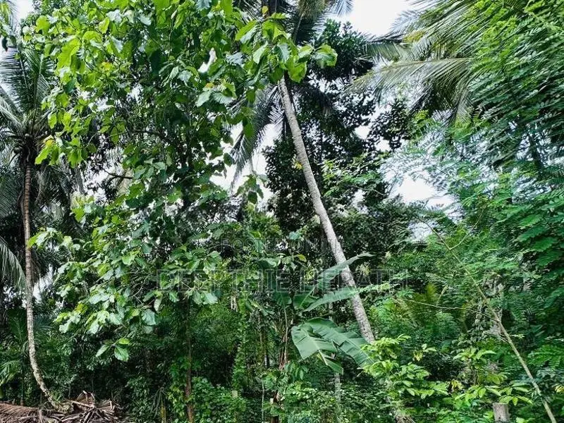 Land for Sale in Polgahawela