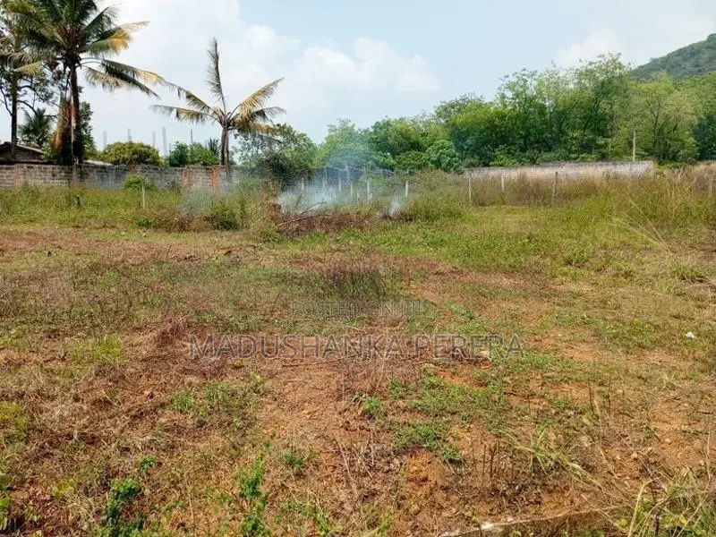 Meepe, Serene Hills Land for Sale