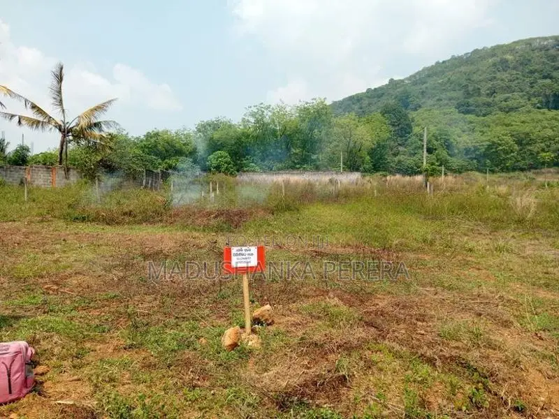 Meepe, Serene Hills Land for Sale