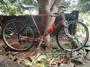 Japan Humber Bicycle