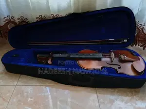 Robinson Violin