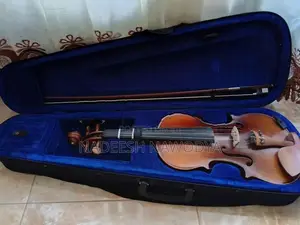 Robinson Violin