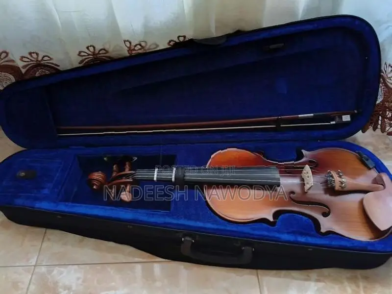 Robinson Violin