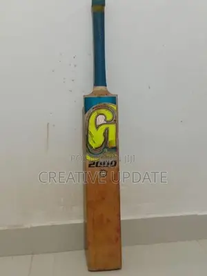 Cricket Set