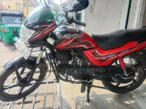 Hero Passion pro 2010