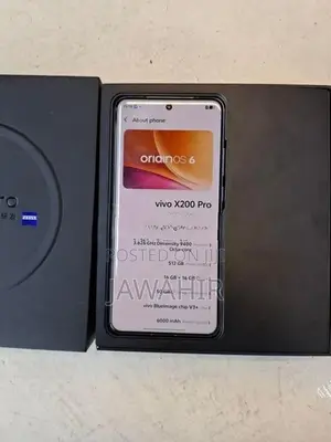 Vivo X200 Pro 512GB (Used)