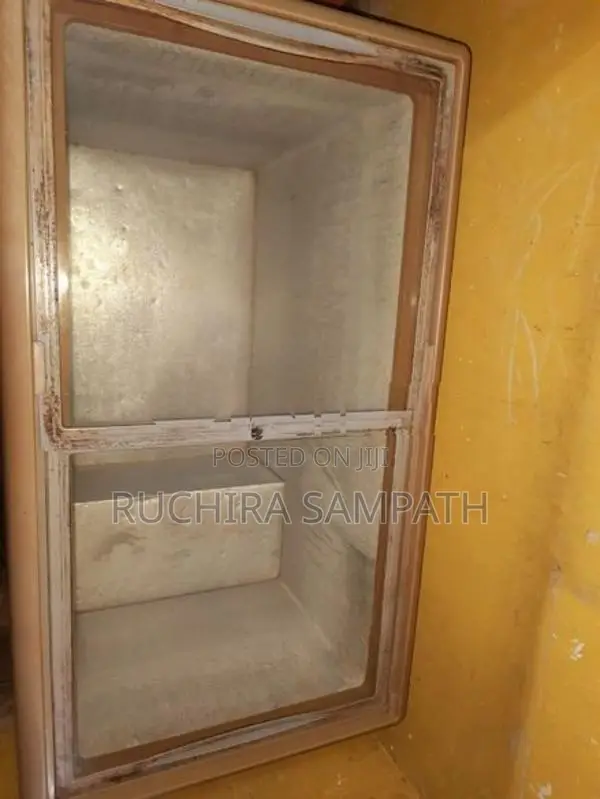 Singer Freezer