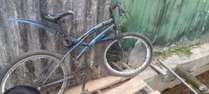 Tomahawk Bicycle