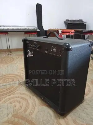 Bass Back Amplifier