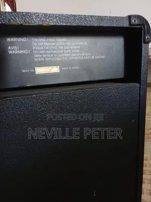 Bass Back Amplifier