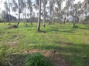Residencial Land for Sale in Pellandeniya