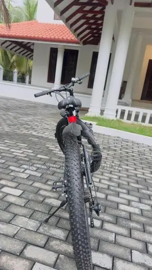 Folding Bicycle